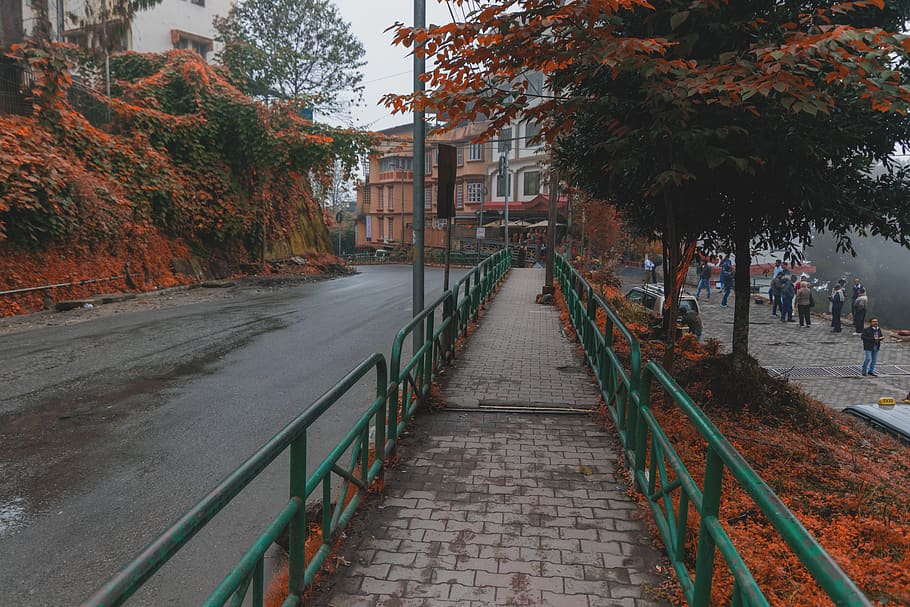 railing, banister, handrail, path, walkway, human, person, sidewalk HD wallpaper