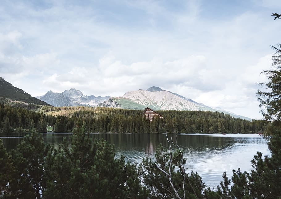 lake surrounded by mountains, water, forest, woodland, landscape HD wallpaper