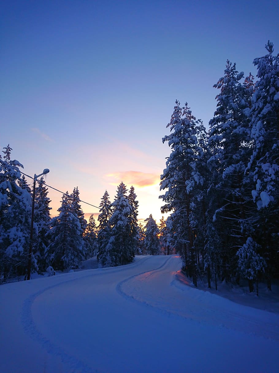 Snow Covered Road , cold, nature, trees, weather, winter, cold temperature HD wallpaper