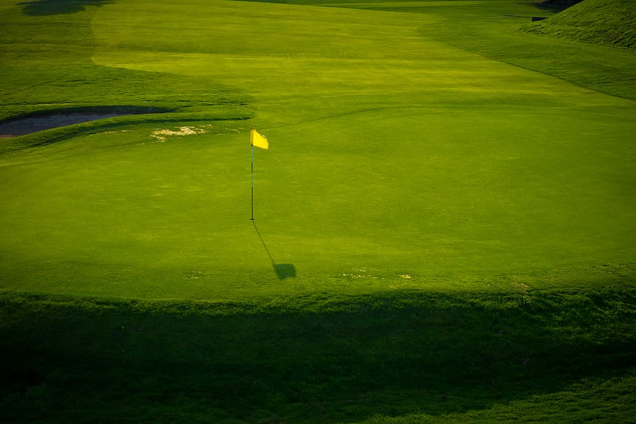 golf field, golf course, grassland, outdoors, plant, flora, green color HD wallpaper