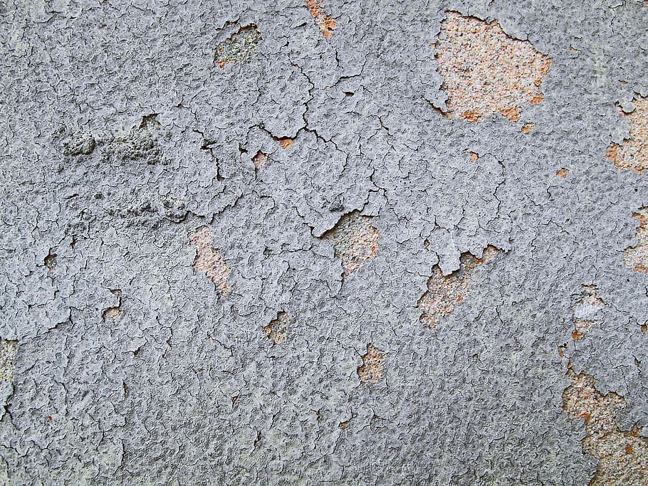 cracked paint, tarmac, asphalt, ground, concrete, leaf, plant HD wallpaper