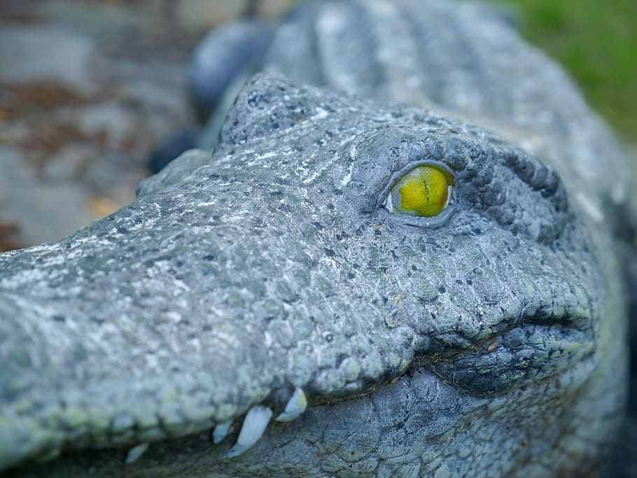 Closeup of a stone alligator with yellow eyes, art, dangerous HD wallpaper