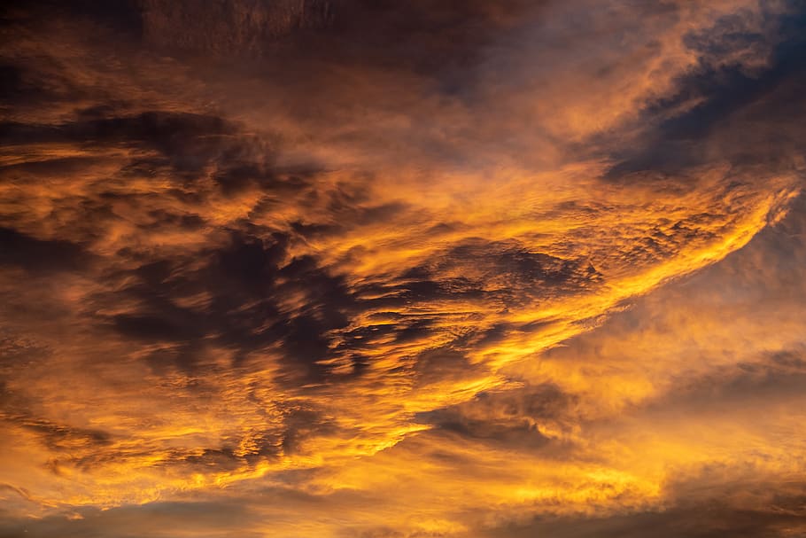 Orange Clouds, cloudiness, cloudscape, cloudy, dark, dawn, daylight HD wallpaper