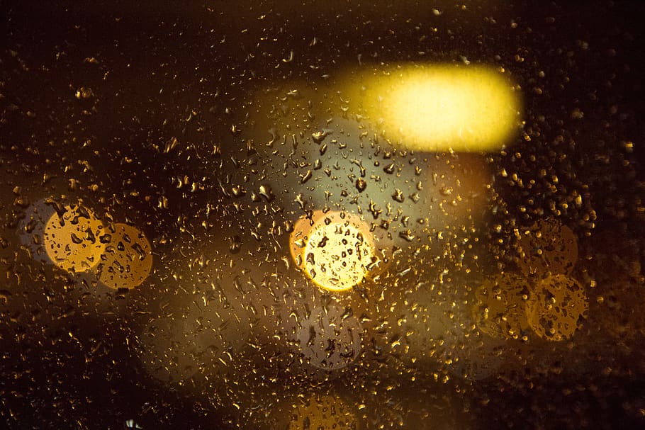 drop, wet, water, no people, rain, indoors, close-up, window HD wallpaper