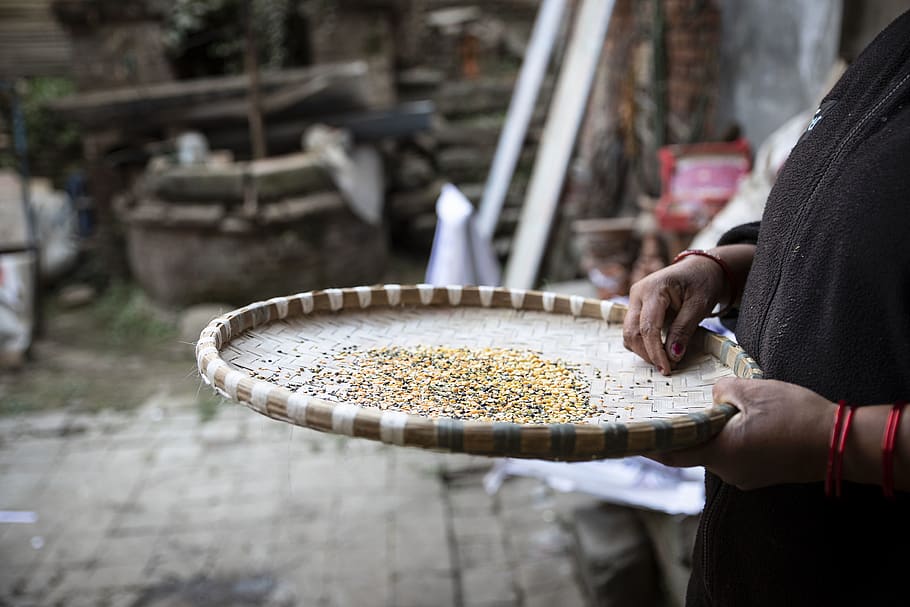 brown tray, human, person, plant, nepal, bhaktapur, food, kathmandu HD wallpaper