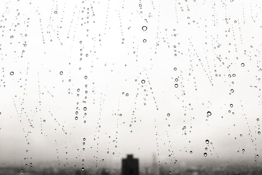 water drops, rainy, black and white, background, monochrome, raindrop