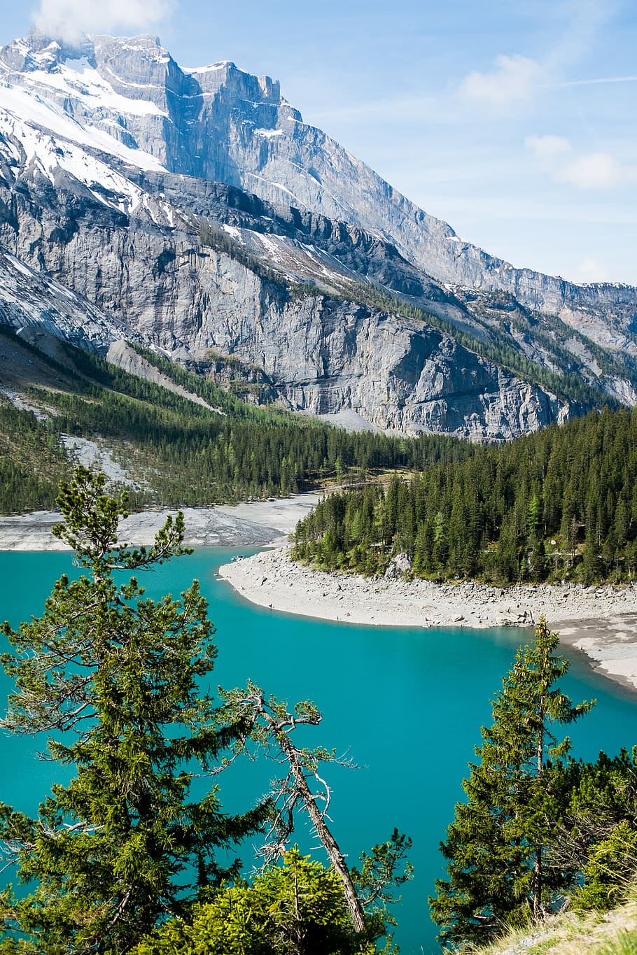 green-leafed tree, plant, abies, fir, mountain, nature, outdoors HD wallpaper