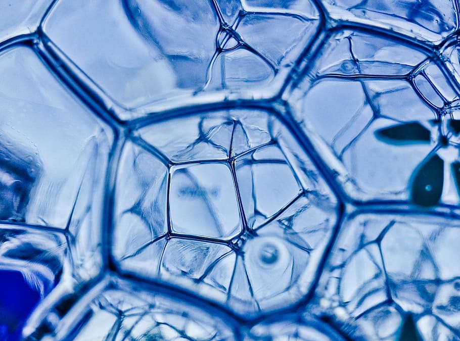 closeup photography of water bubbles, blue, texture, pattern HD wallpaper