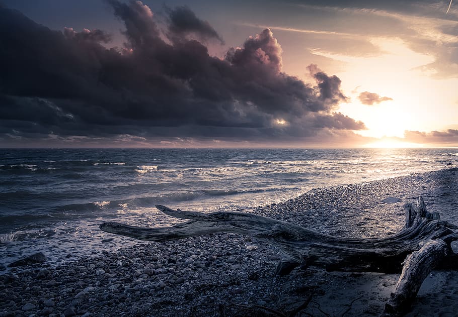 denmark, beach, nature, sky, sunset, tree, sunrise, landscape HD wallpaper