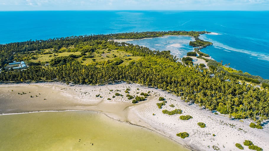 forest and beach during day, sea, water, scenics - nature, land HD wallpaper