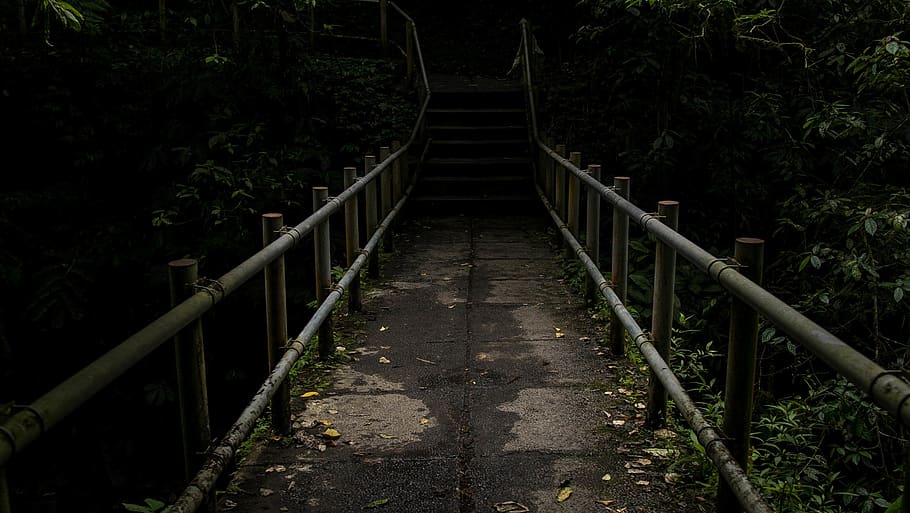 ubud, indonesia, path, jungle, bridge, dark, leaves, bali, the way forward HD wallpaper