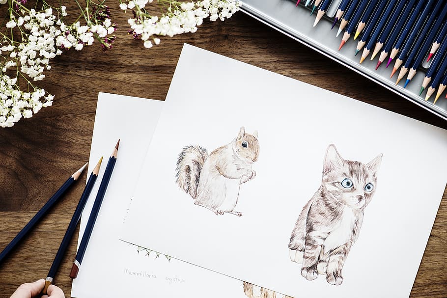 adorable, animal, art, bright, cat, colorful, coloring, cute, HD wallpaper