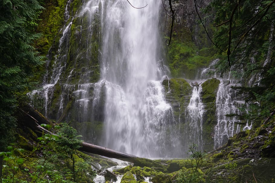 united states, proxy falls, waterfall, scenics - nature, beauty in nature HD wallpaper