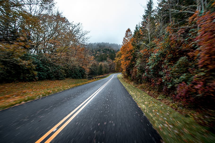 On the road, movement, blur, motion, drive, speed, roadtrip, journey HD wallpaper