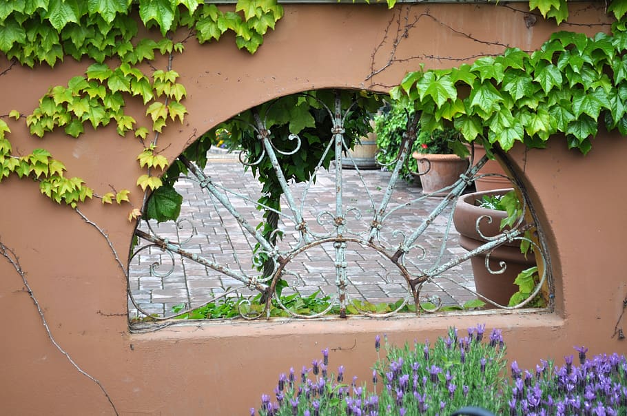 garden, greenery, patio, plant, growth, day, no people, nature HD wallpaper