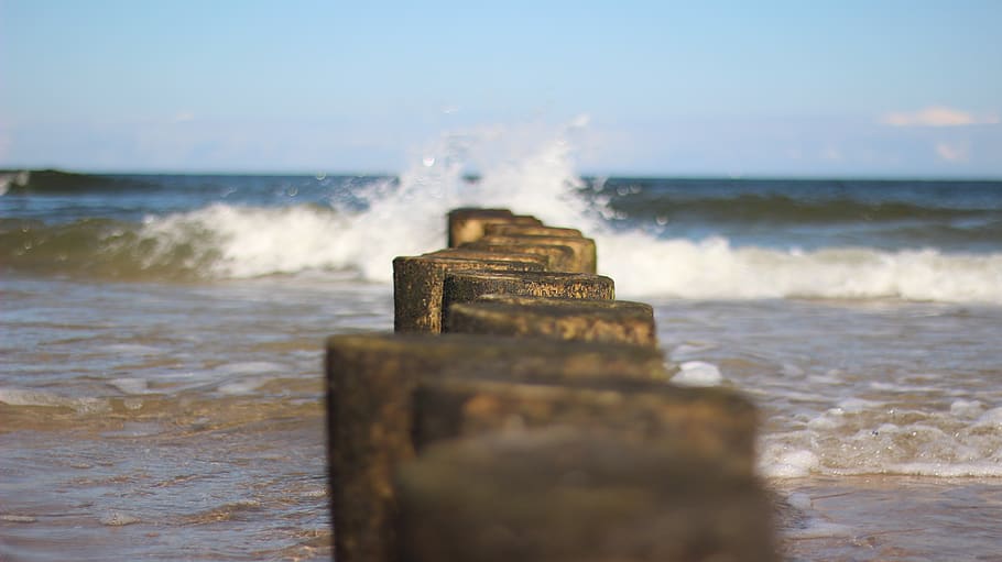 Photo of Brown Logs in Body of Water, beach, clouds, coast, daylight HD wallpaper
