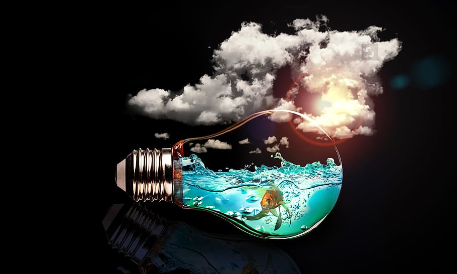 bulb, gold fish, clouds, cloud - sky, black background, studio shot HD wallpaper