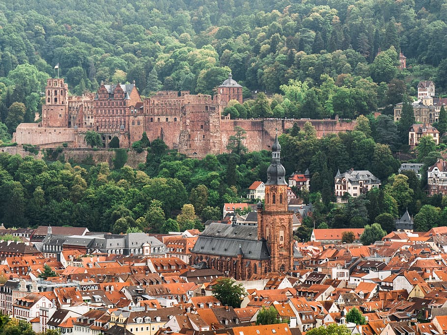 castle, historically, city, heidelberg, tourism, built structure, HD wallpaper
