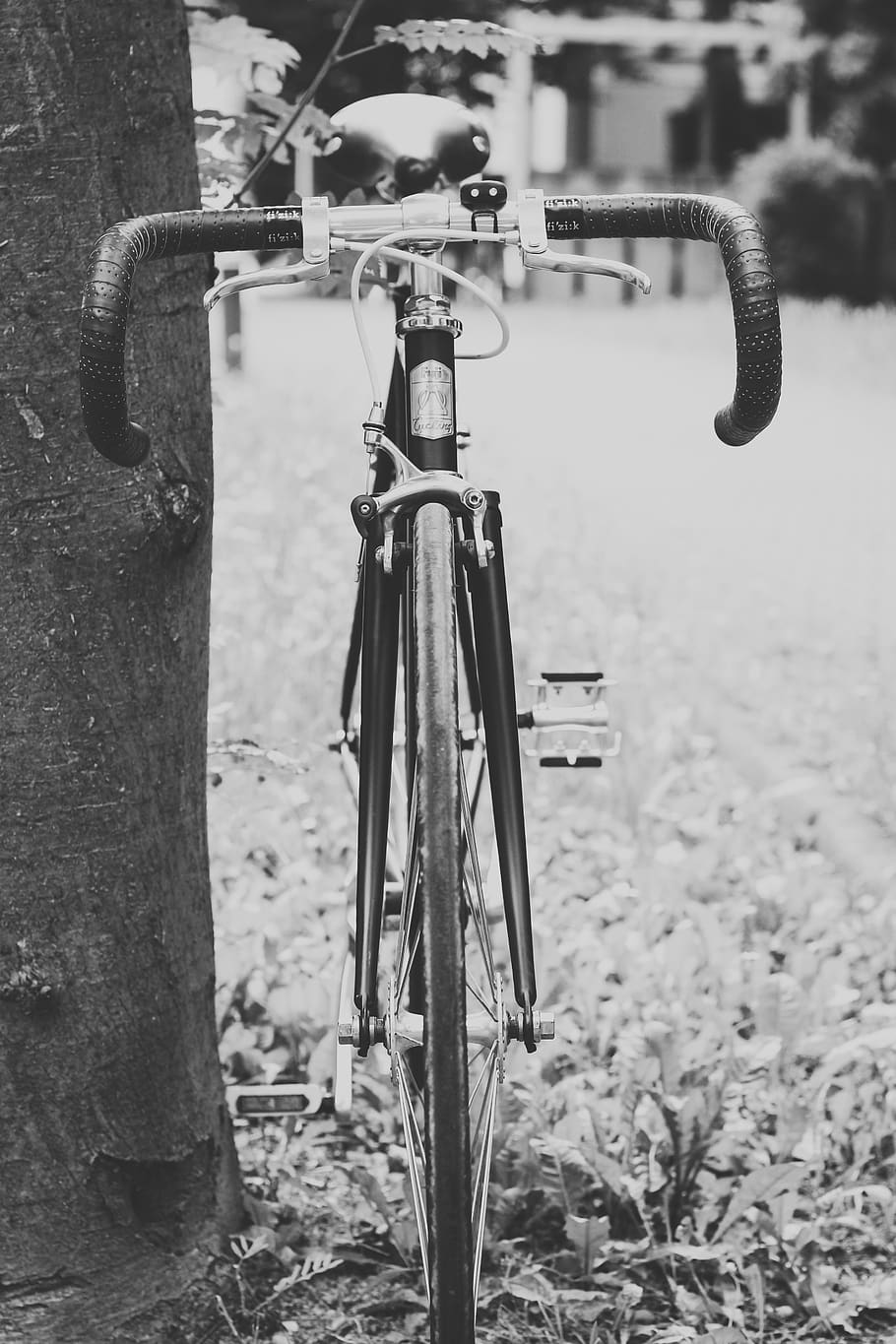 mainz, germany, old bicycle, fuji, fuji feather, break, chain