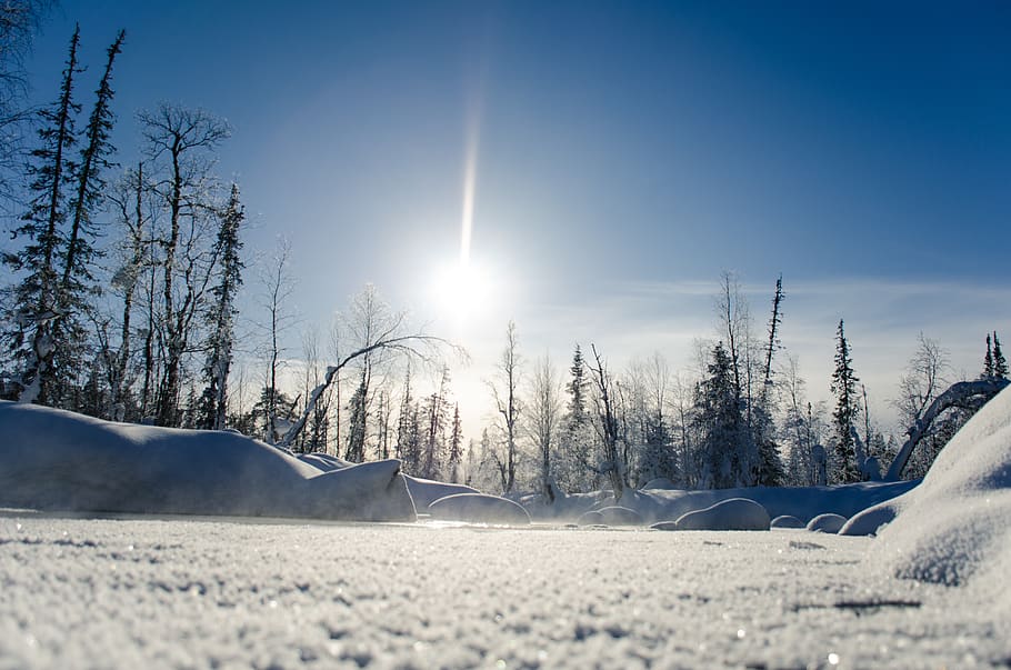 snow field, nature, outdoors, winter, urho kekkonen national park HD wallpaper