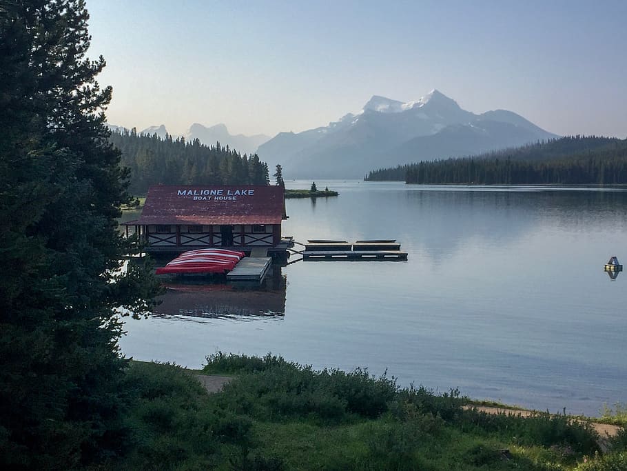 canada, maligne lake, water, plant, mountain, tree, sky, scenics - nature HD wallpaper