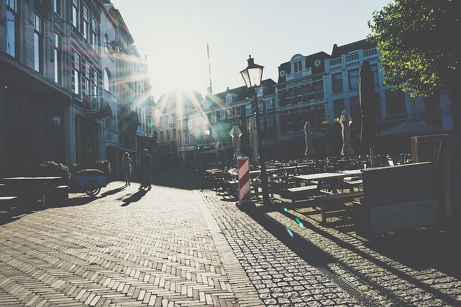 netherlands, rotterdam, backlighting, street, sunlight, building exterior HD wallpaper