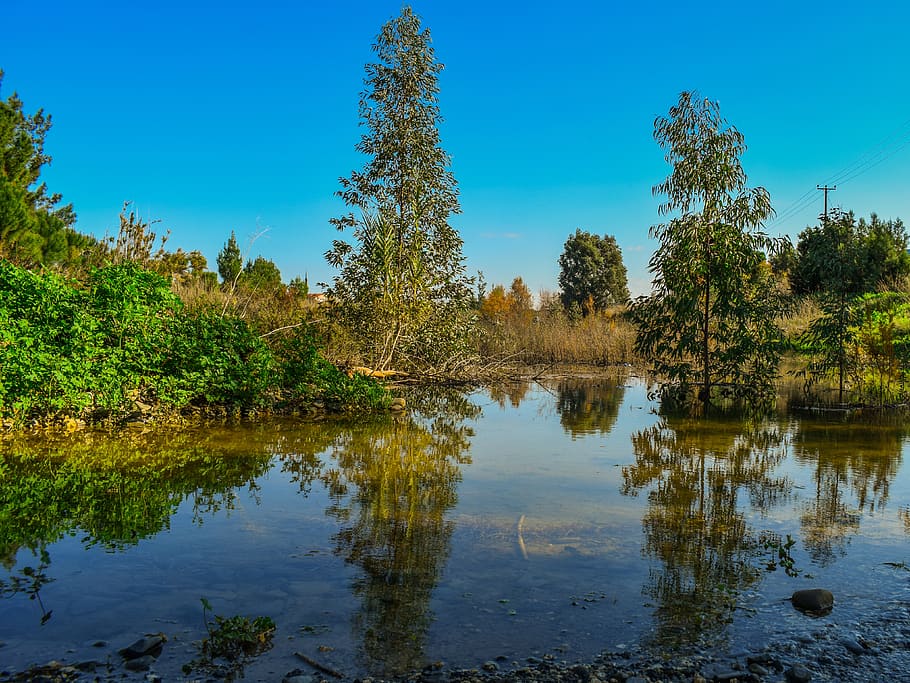 landscape, river, nature, trees, water, reflections, mirroring HD wallpaper