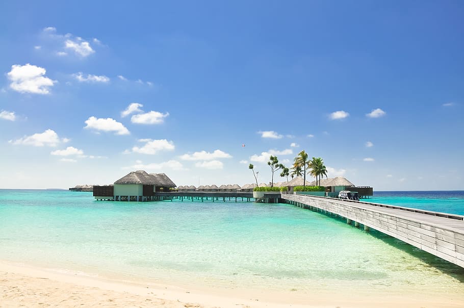 Brown Boat Dock Under Blue and White Skies, beach, bridge, calm HD wallpaper