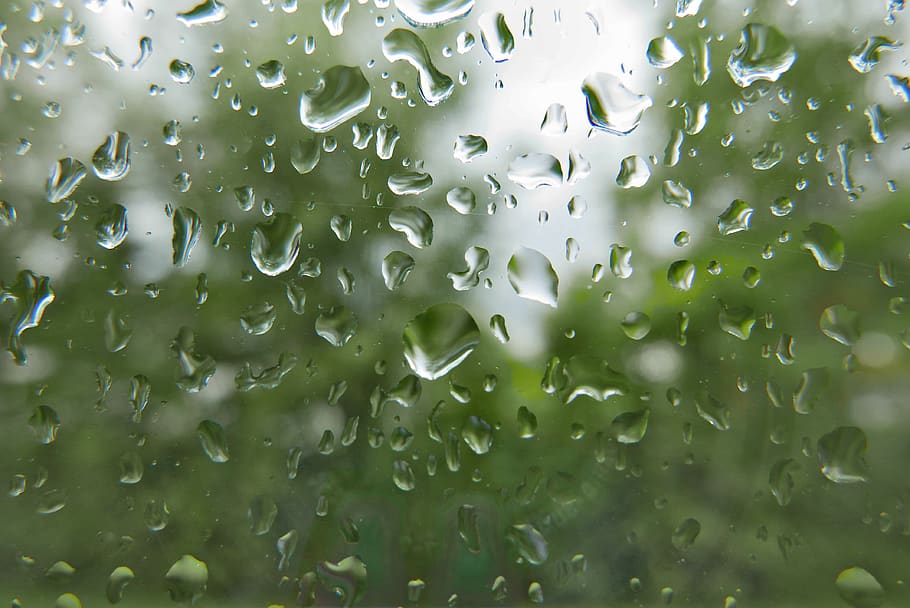 rain, water, window, wet, drop, close-up, no people, full frame HD wallpaper