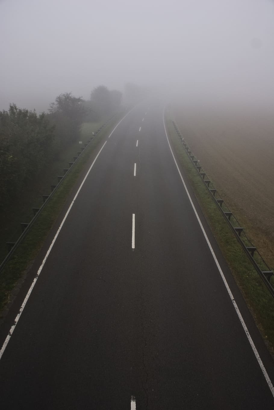 fog, road, symmetrical, trees, lines, transportation, plant HD wallpaper