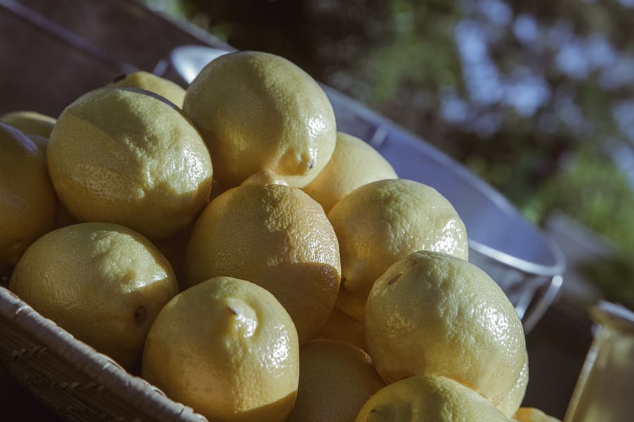 lemon, lemons, yellow, fruit, citrus, bucket, garden party HD wallpaper