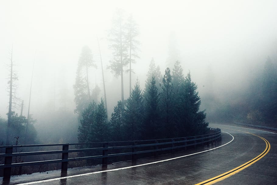 winding, road, railing, guard rail, fog, foggy, trees, forest HD wallpaper