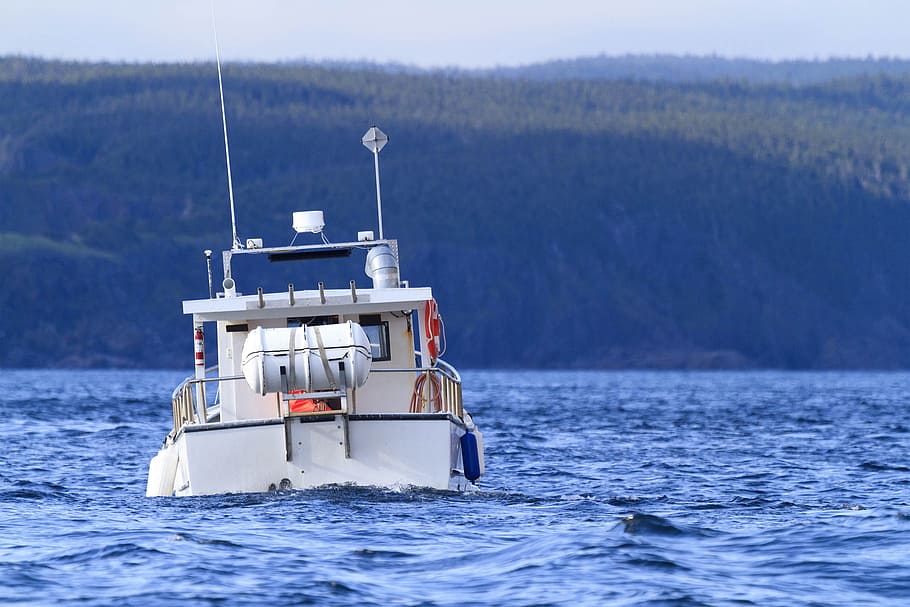 Pleasure vessel steaming towards land., boat, sailing, atlantic HD wallpaper