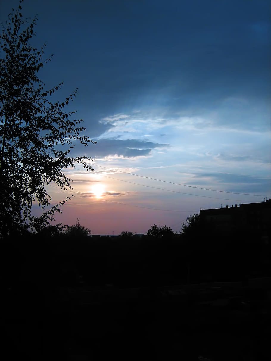 ufa, sky, night, blue, sunset, nature, trees, dark, silhouette HD wallpaper