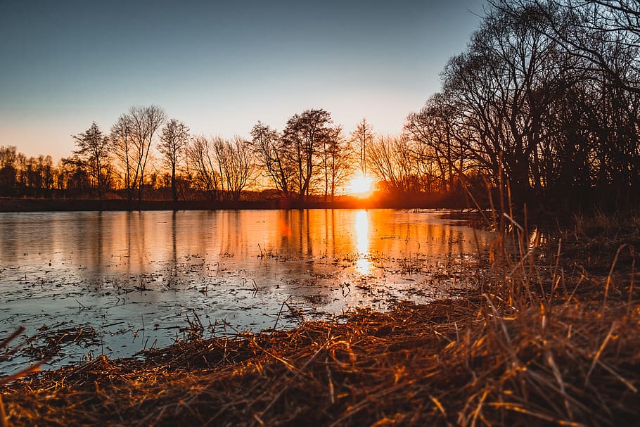 pond, lake, evening, sun, sunset, nature, water, landscape, HD wallpaper