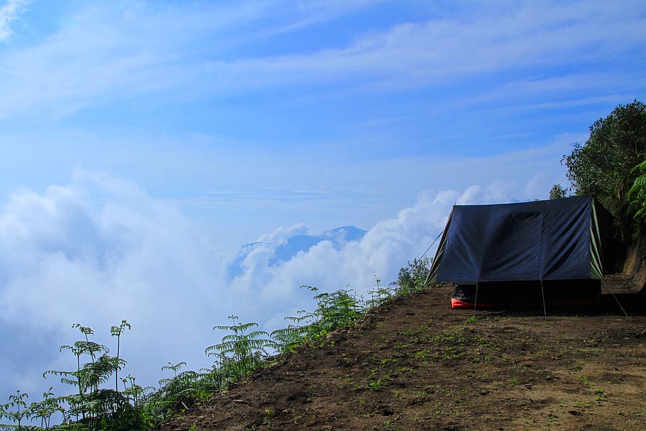 india, kannan devan hills, munnar hill station, camping, tent