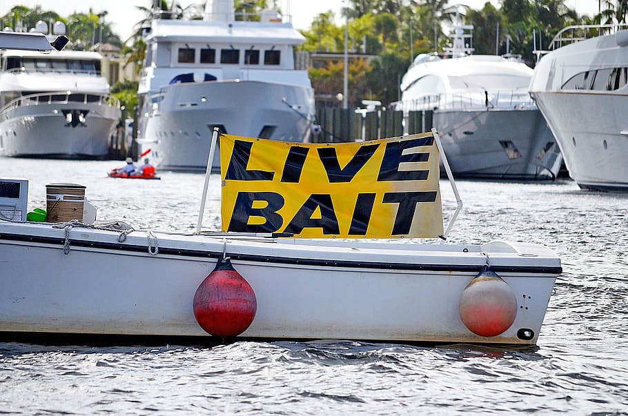 united states, florida, signs, bait, water, waterway, inlet, HD wallpaper