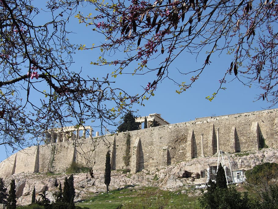 acropolis, architecture, built structure, tree, history, the past HD wallpaper