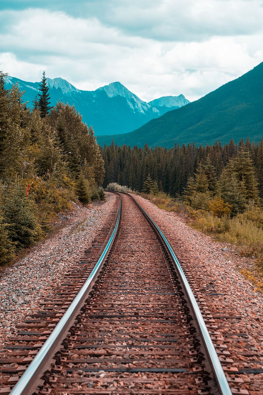 track, mountain, banff, tree, train, rail transportation, the way forward HD wallpaper