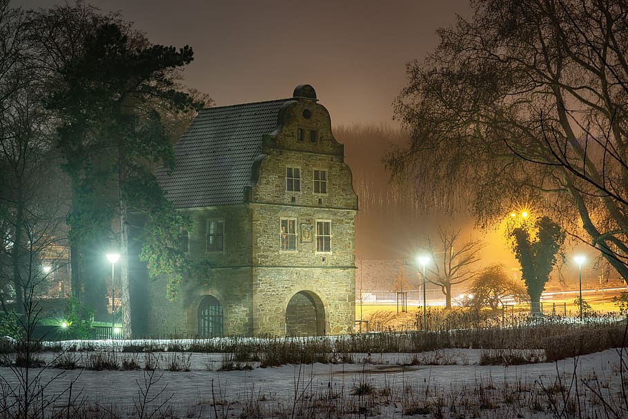 flare, light, building, castle, plant, tree, architecture, nature HD wallpaper