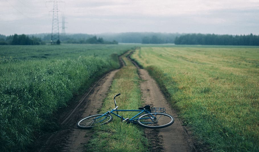 Landscape Photography of Blue Commuter Bike on Green Grass, bicycle, HD wallpaper