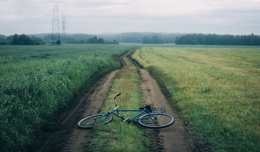 Landscape Photography of Blue Commuter Bike on Green Grass, bicycle HD wallpaper