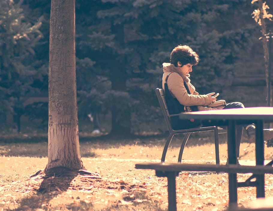sitting, tree, full length, young adult, one person, leisure activity HD wallpaper