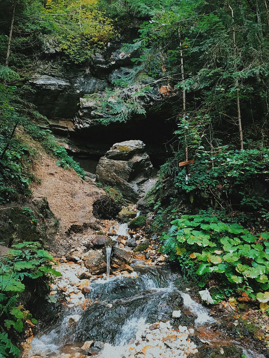 forest, river, rocks, mountain, spring, water, plant, rock - object HD wallpaper
