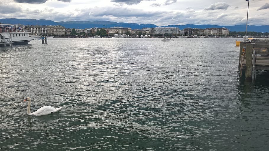 switzerland, cloud, clouds, buildings, pier, geneva, trees HD wallpaper