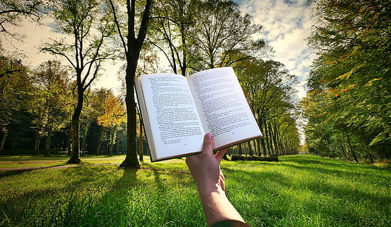 Book held by one hand, reading in the park on a nice day., sunset HD wallpaper
