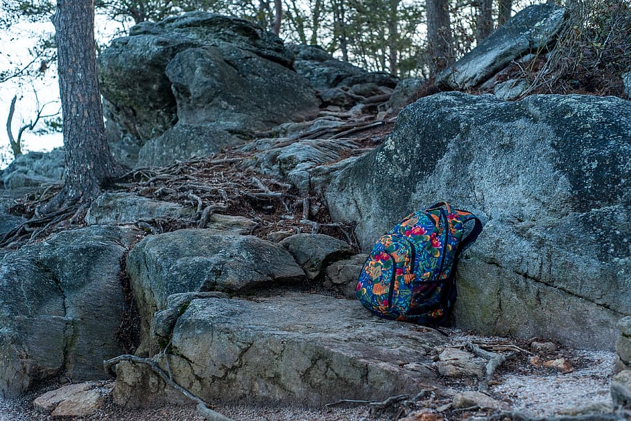 united states, cumming, sawnee mountain park, roots, backpack, HD wallpaper