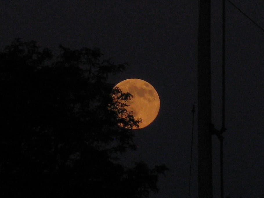 canada, windsor, moon, full moon, orange moon, space, night HD wallpaper