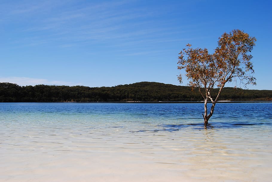 Lake McKenzie