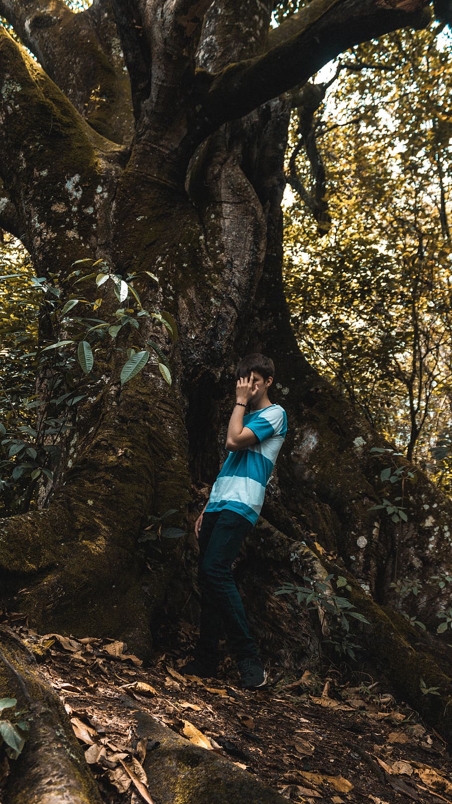 boy, nature, blue, green, tree, wallpaper, young, hd wallpaper HD wallpaper